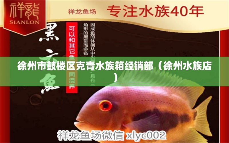 徐州市鼓樓區(qū)克青水族箱經(jīng)銷(xiāo)部（徐州水族店）