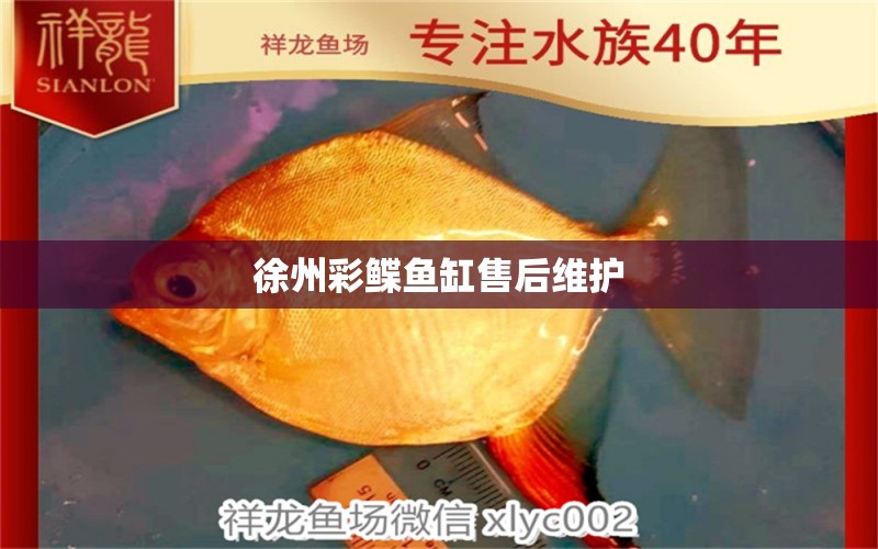 徐州彩鰈魚缸售后維護(hù) 彩鰈魚缸（彩蝶魚缸）