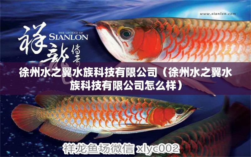 徐州水之翼水族科技有限公司（徐州水之翼水族科技有限公司怎么樣） 全國(guó)水族館企業(yè)名錄