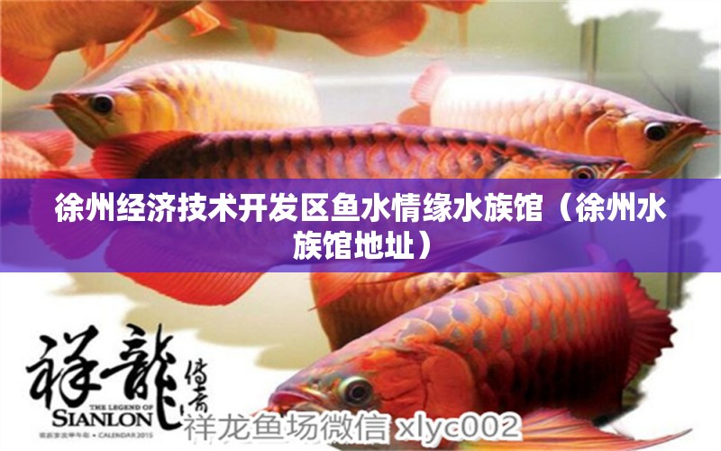 徐州經(jīng)濟(jì)技術(shù)開發(fā)區(qū)魚水情緣水族館（徐州水族館地址）