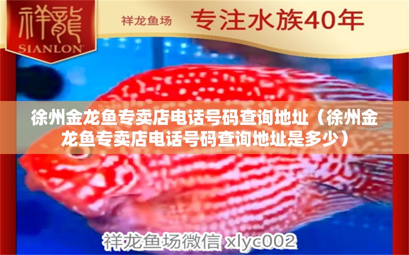 徐州金龍魚專賣店電話號碼查詢地址（徐州金龍魚專賣店電話號碼查詢地址是多少）