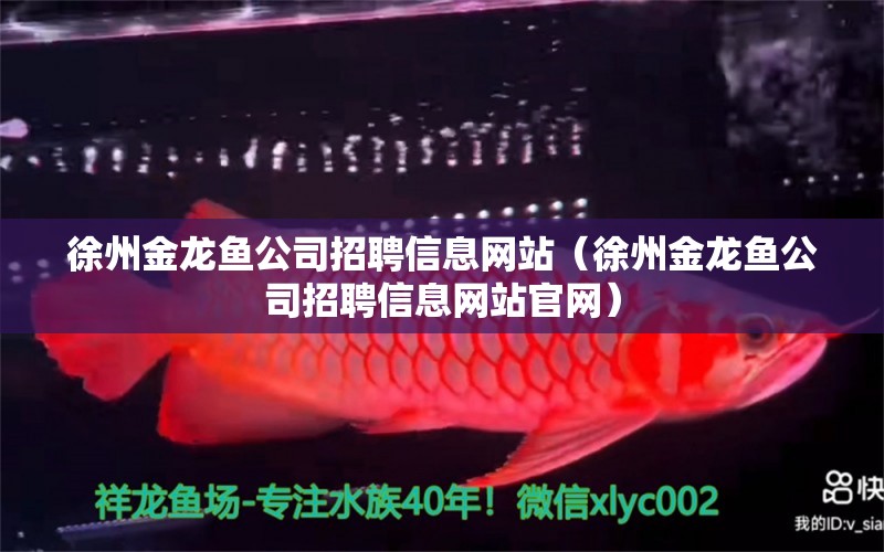 徐州金龍魚公司招聘信息網(wǎng)站（徐州金龍魚公司招聘信息網(wǎng)站官網(wǎng)）