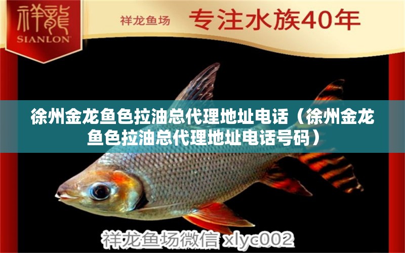 徐州金龍魚色拉油總代理地址電話（徐州金龍魚色拉油總代理地址電話號碼）