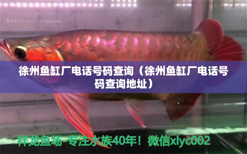 徐州魚(yú)缸廠(chǎng)電話(huà)號(hào)碼查詢(xún)（徐州魚(yú)缸廠(chǎng)電話(huà)號(hào)碼查詢(xún)地址）