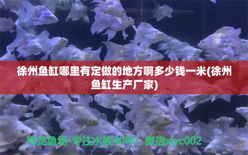 徐州魚缸哪里有定做的地方啊多少錢一米(徐州魚缸生產(chǎn)廠家) 福魟魟魚 第1張