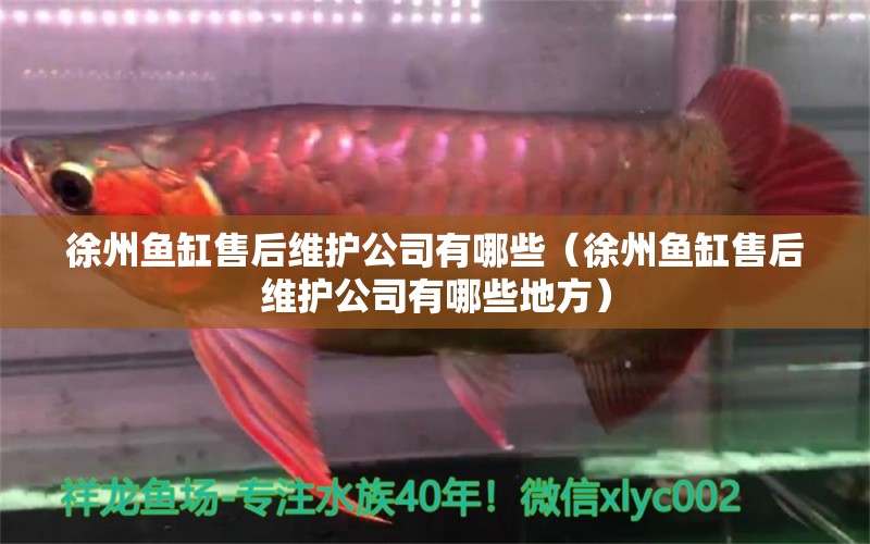 徐州魚缸售后維護(hù)公司有哪些（徐州魚缸售后維護(hù)公司有哪些地方） 其他品牌魚缸