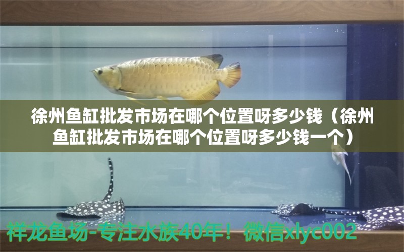 徐州魚缸批發(fā)市場在哪個位置呀多少錢（徐州魚缸批發(fā)市場在哪個位置呀多少錢一個）