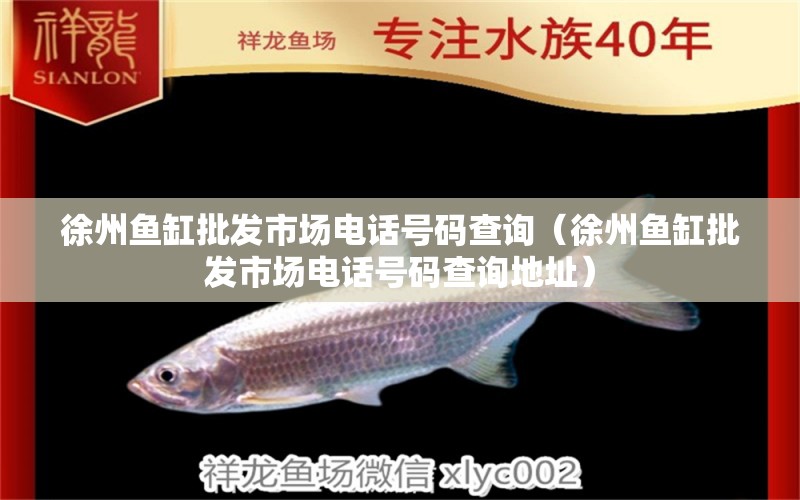 徐州魚缸批發(fā)市場電話號碼查詢（徐州魚缸批發(fā)市場電話號碼查詢地址）