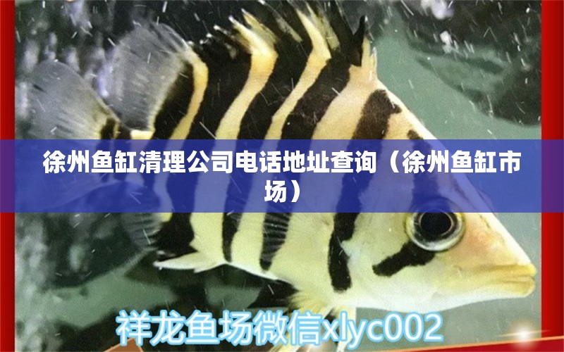 徐州魚缸清理公司電話地址查詢（徐州魚缸市場）