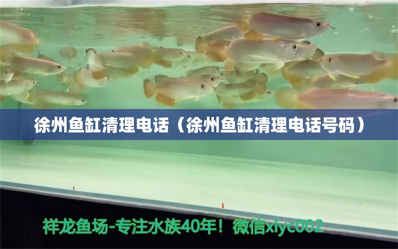 徐州魚(yú)缸清理電話（徐州魚(yú)缸清理電話號(hào)碼） 祥龍水族醫(yī)院