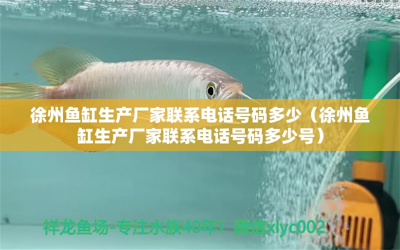 徐州魚(yú)缸生產(chǎn)廠家聯(lián)系電話號(hào)碼多少（徐州魚(yú)缸生產(chǎn)廠家聯(lián)系電話號(hào)碼多少號(hào)） 祥龍魚(yú)場(chǎng)