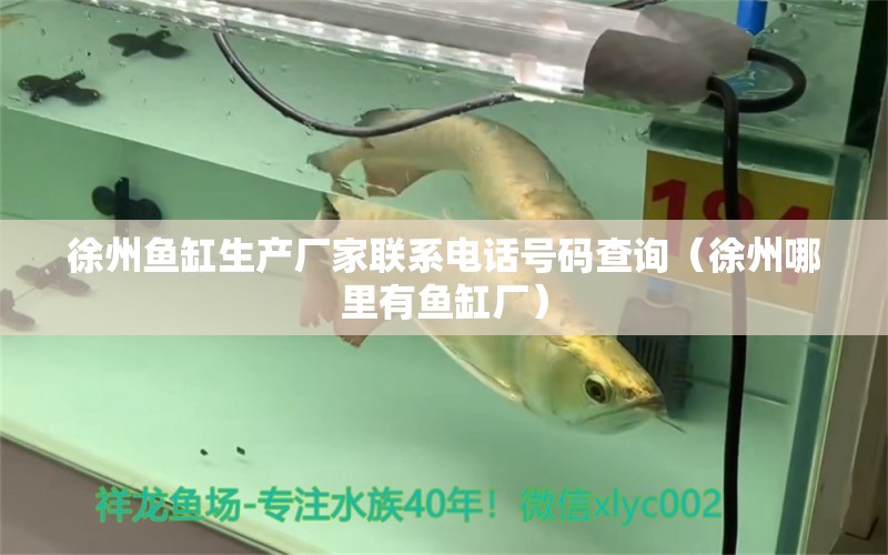 徐州魚缸生產廠家聯(lián)系電話號碼查詢（徐州哪里有魚缸廠）