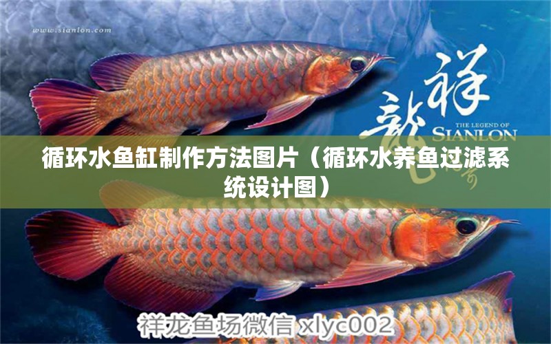 循環(huán)水魚缸制作方法圖片（循環(huán)水養(yǎng)魚過濾系統(tǒng)設(shè)計圖）