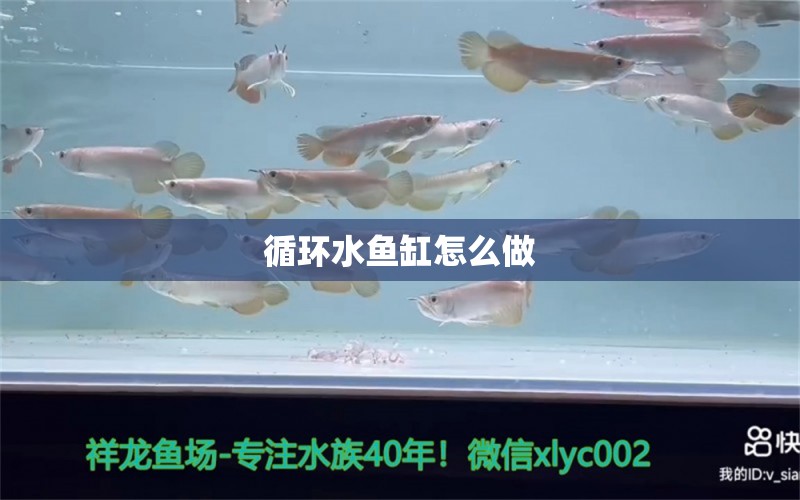 循環(huán)水魚缸怎么做