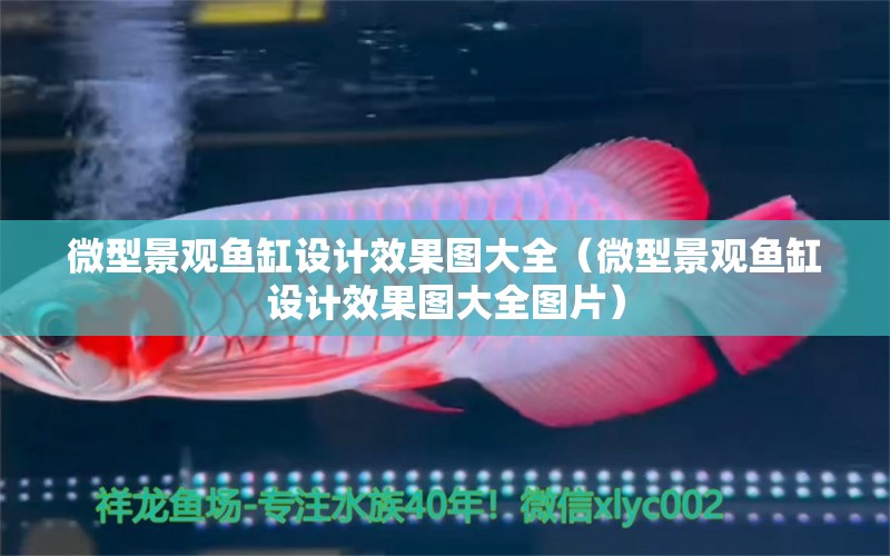 微型景觀魚缸設(shè)計效果圖大全（微型景觀魚缸設(shè)計效果圖大全圖片） 魚缸水泵