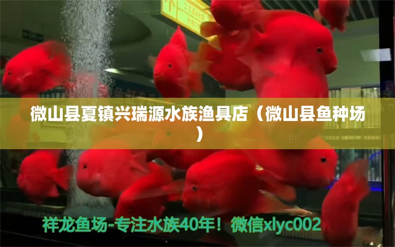 微山縣夏鎮(zhèn)興瑞源水族漁具店（微山縣魚種場） 全國水族館企業(yè)名錄