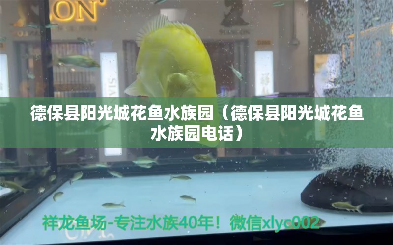 德?？h陽光城花魚水族園（德?？h陽光城花魚水族園電話） 全國水族館企業(yè)名錄