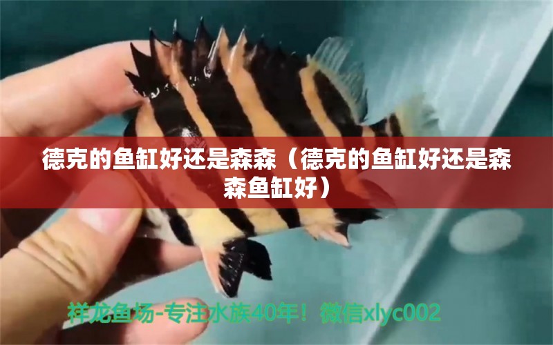 德克的魚(yú)缸好還是森森（德克的魚(yú)缸好還是森森魚(yú)缸好） 觀賞魚(yú)水族批發(fā)市場(chǎng)