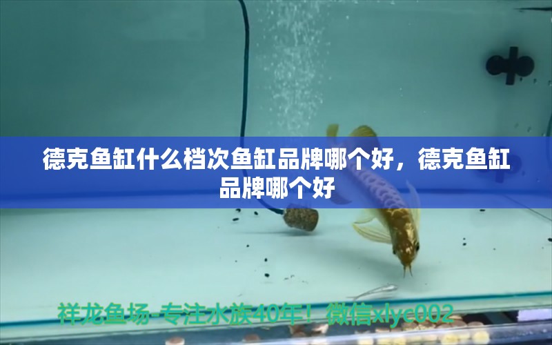 德克魚缸什么檔次魚缸品牌哪個(gè)好，德克魚缸品牌哪個(gè)好