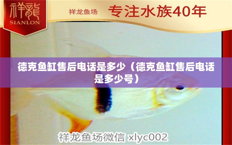 德克魚缸售后電話是多少（德克魚缸售后電話是多少號）