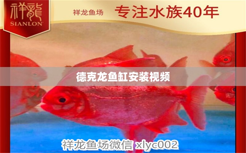 德克龍魚缸安裝視頻 祥龍魚場(chǎng)