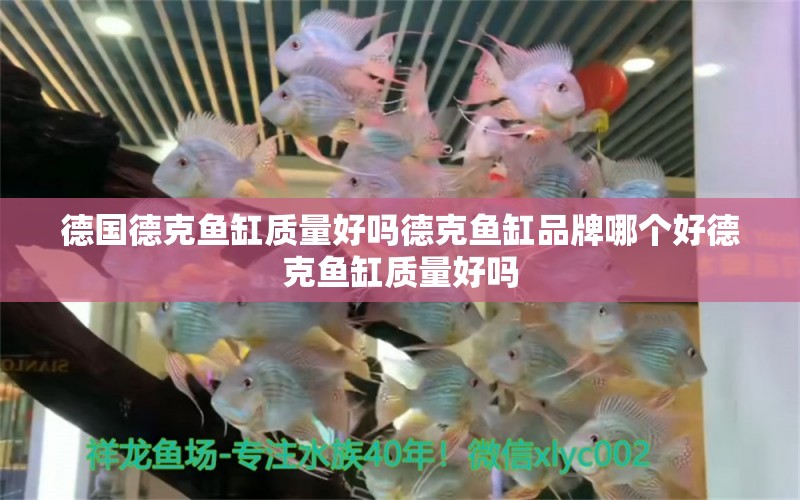 德國德克魚缸質(zhì)量好嗎德克魚缸品牌哪個好德克魚缸質(zhì)量好嗎