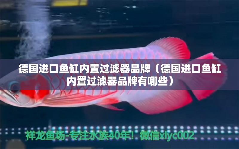 德國進口魚缸內(nèi)置過濾器品牌（德國進口魚缸內(nèi)置過濾器品牌有哪些）