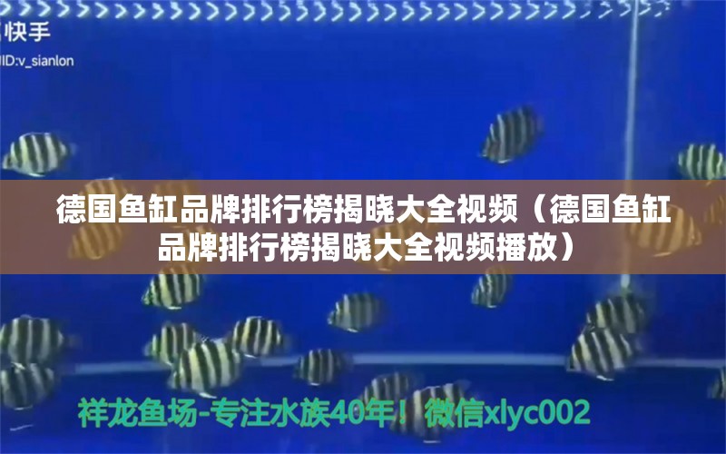 德國魚缸品牌排行榜揭曉大全視頻（德國魚缸品牌排行榜揭曉大全視頻播放）