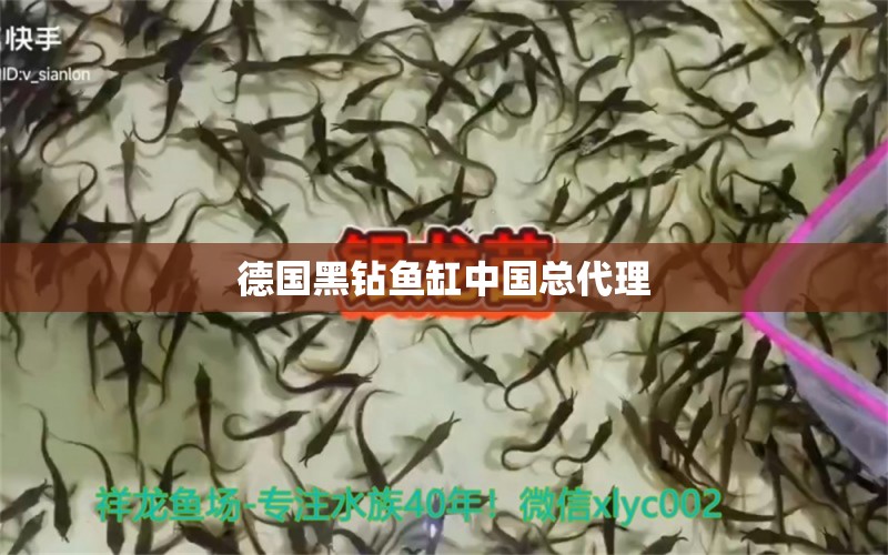 德國黑鉆魚缸中國總代理 祥龍魚場