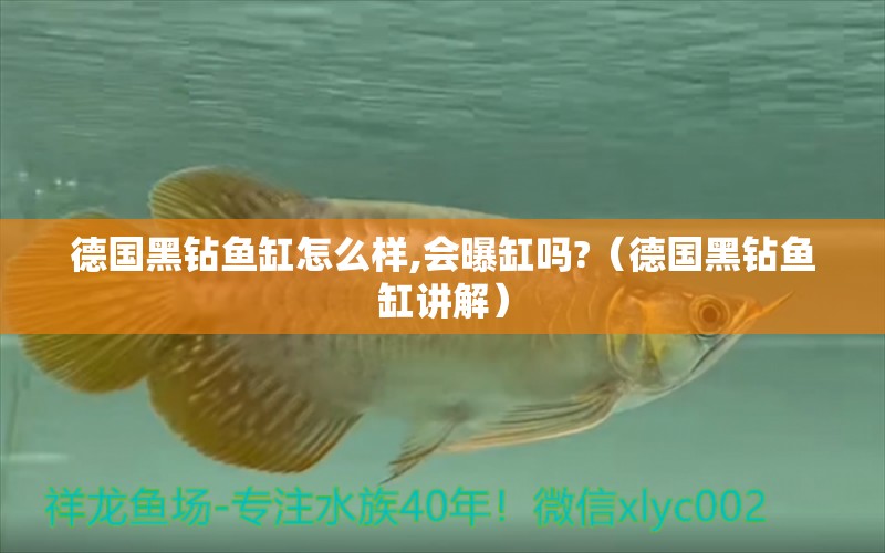 德國(guó)黑鉆魚缸怎么樣,會(huì)曝缸嗎?（德國(guó)黑鉆魚缸講解）