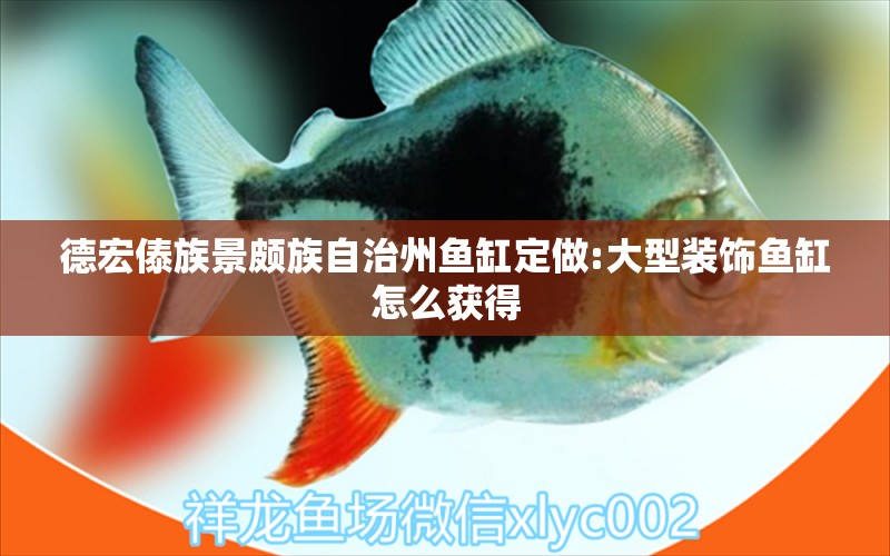 德宏傣族景頗族自治州魚缸定做:大型裝飾魚缸怎么獲得