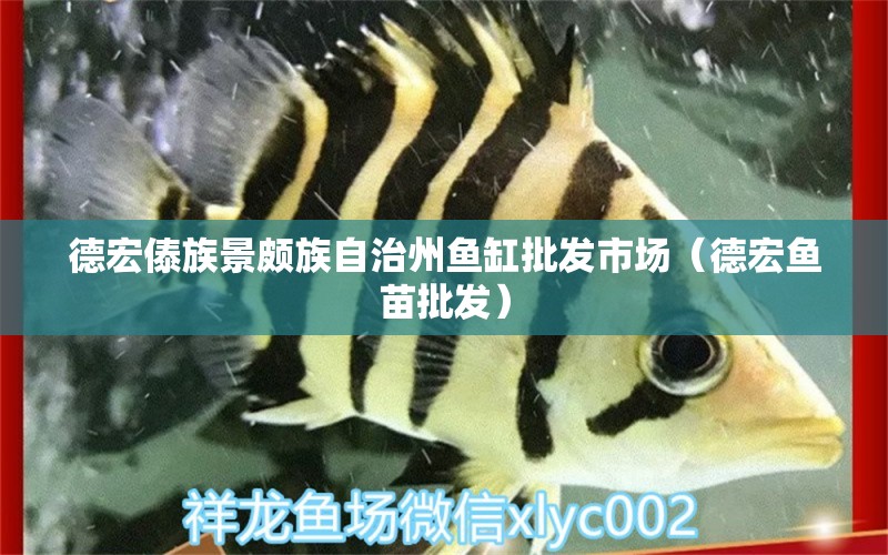 德宏傣族景頗族自治州魚(yú)缸批發(fā)市場(chǎng)（德宏魚(yú)苗批發(fā)） 帝王血鉆