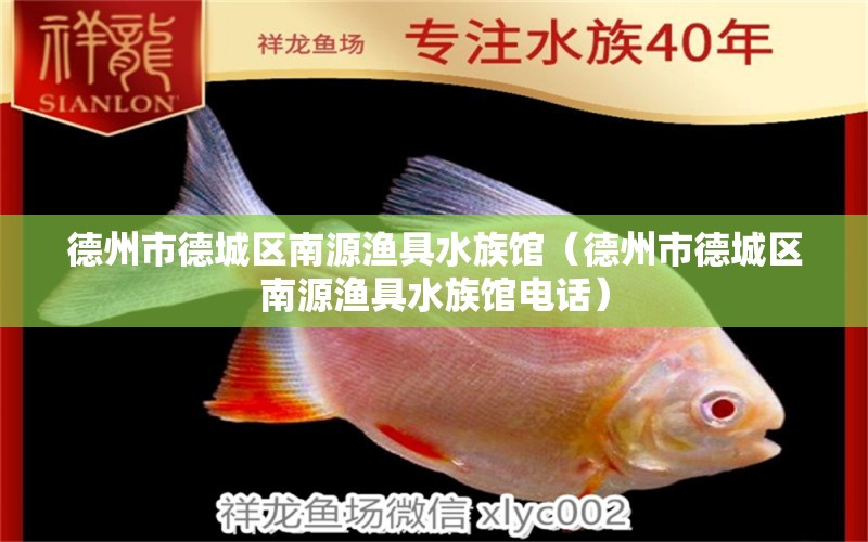 德州市德城區(qū)南源漁具水族館（德州市德城區(qū)南源漁具水族館電話） 全國水族館企業(yè)名錄