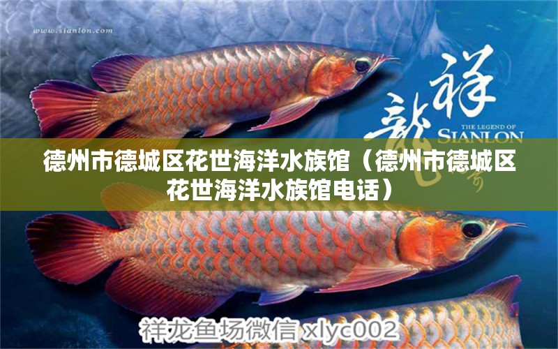 德州市德城區(qū)花世海洋水族館（德州市德城區(qū)花世海洋水族館電話） 全國(guó)水族館企業(yè)名錄