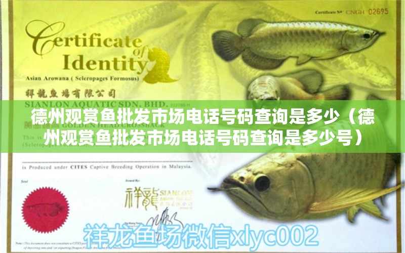 德州觀賞魚批發(fā)市場電話號碼查詢是多少（德州觀賞魚批發(fā)市場電話號碼查詢是多少號）