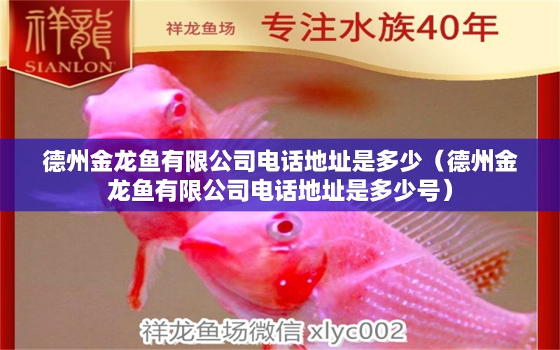 德州金龍魚有限公司電話地址是多少（德州金龍魚有限公司電話地址是多少號） 白子關(guān)刀魚苗