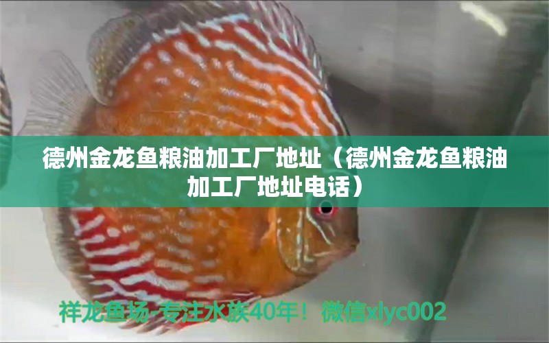 德州金龍魚糧油加工廠地址（德州金龍魚糧油加工廠地址電話）