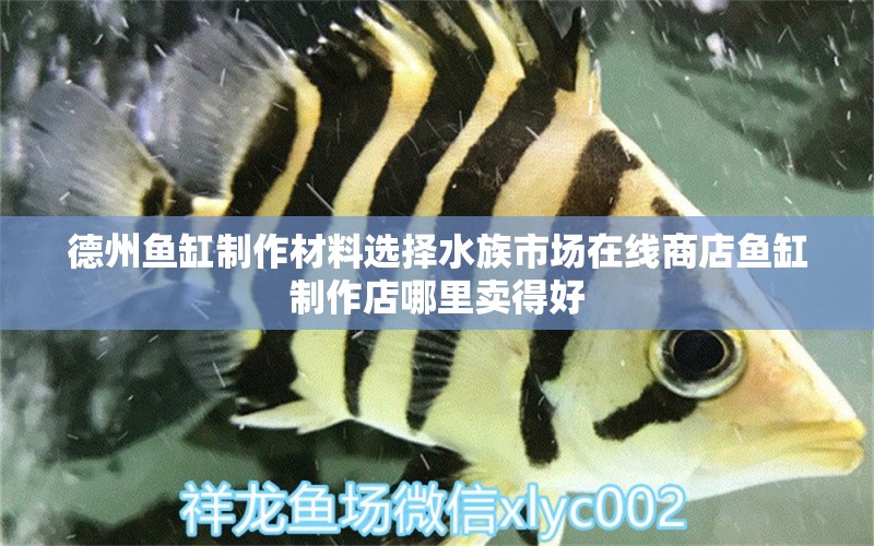 德州魚缸制作材料選擇水族市場在線商店魚缸制作店哪里賣得好