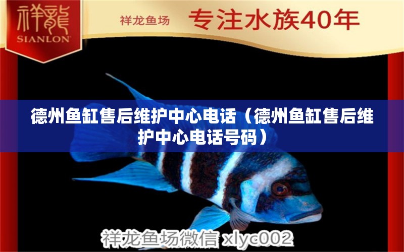 德州魚缸售后維護(hù)中心電話（德州魚缸售后維護(hù)中心電話號碼）