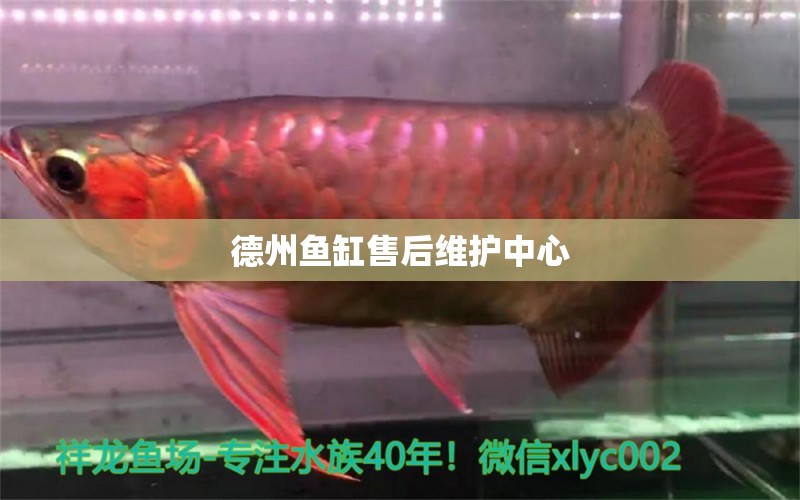 德州魚缸售后維護(hù)中心