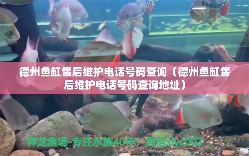 德州魚缸售后維護(hù)電話號碼查詢（德州魚缸售后維護(hù)電話號碼查詢地址）