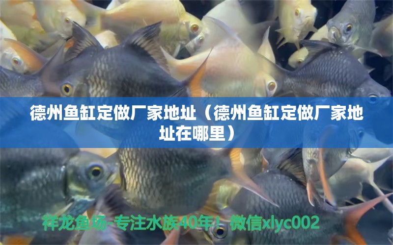 德州魚(yú)缸定做廠家地址（德州魚(yú)缸定做廠家地址在哪里）