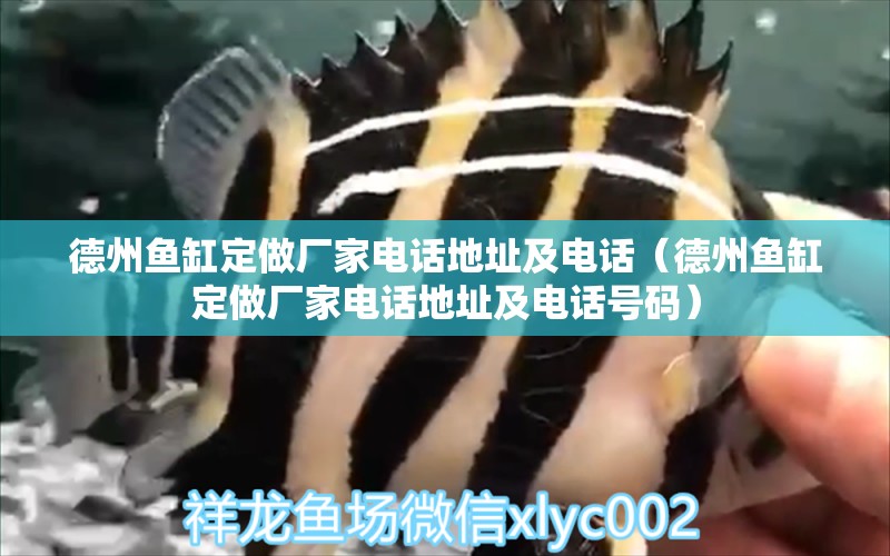 德州魚(yú)缸定做廠家電話地址及電話（德州魚(yú)缸定做廠家電話地址及電話號(hào)碼）