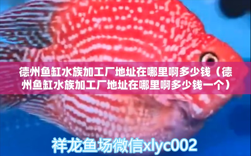 德州魚缸水族加工廠地址在哪里啊多少錢（德州魚缸水族加工廠地址在哪里啊多少錢一個） 祥龍水族醫(yī)院