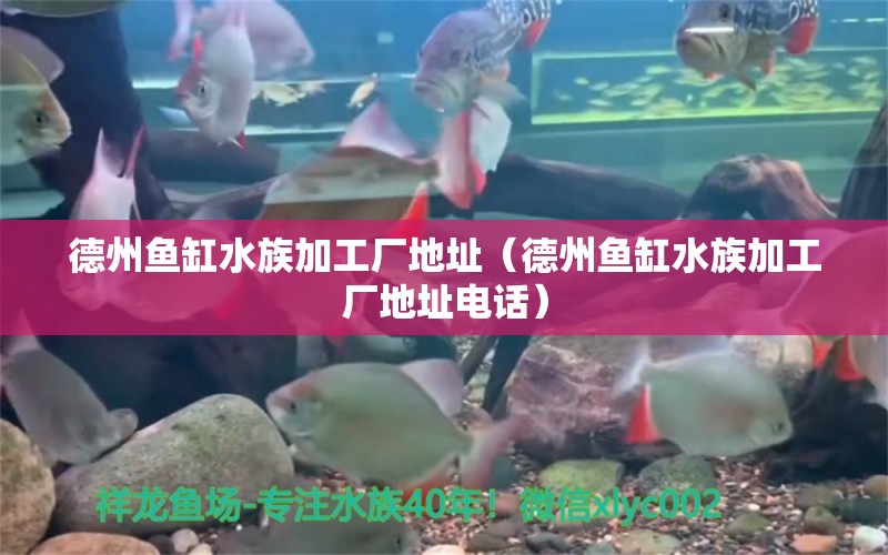 德州魚缸水族加工廠地址（德州魚缸水族加工廠地址電話） 其他品牌魚缸