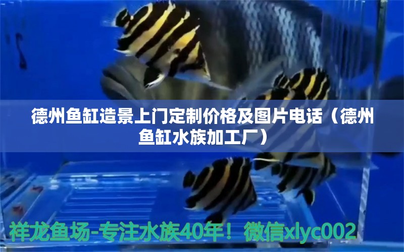 德州魚缸造景上門定制價格及圖片電話（德州魚缸水族加工廠）