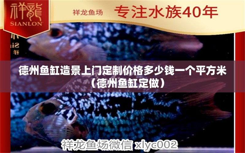 德州魚缸造景上門定制價格多少錢一個平方米（德州魚缸定做） iwish愛唯希品牌魚缸