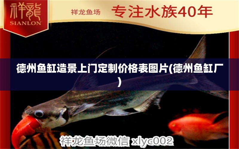 德州魚缸造景上門定制價格表圖片(德州魚缸廠) 黃鰭鯧魚