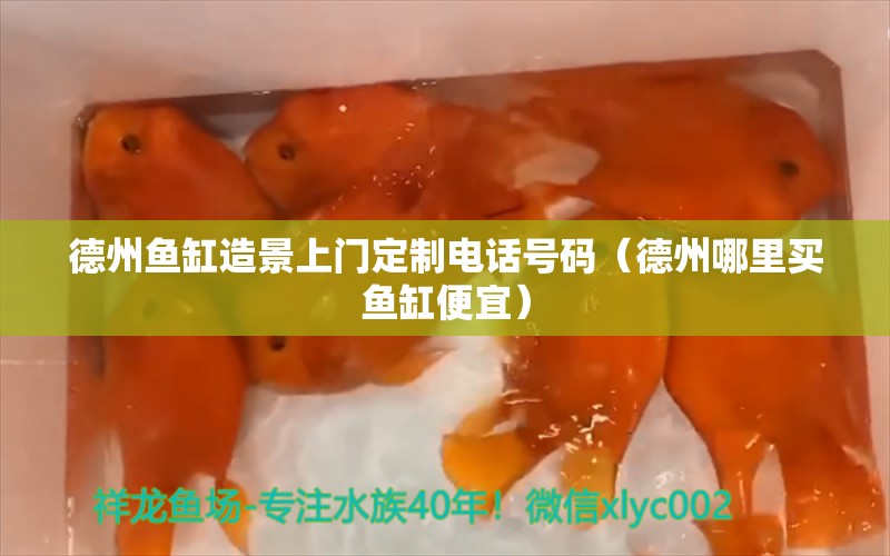 德州魚缸造景上門定制電話號碼（德州哪里買魚缸便宜） 大日玉鯖魚 第1張