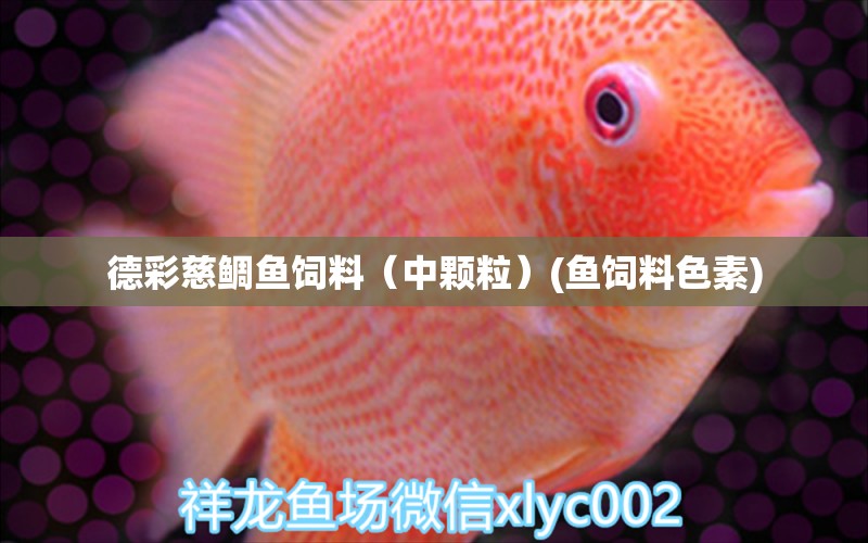 德彩慈鯛魚(yú)飼料（中顆粒）(魚(yú)飼料色素)